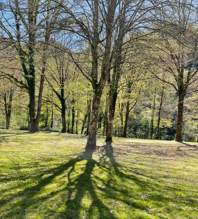 Emplacements camping dans le Tarn, pour tente, caravane, van ou camping-car