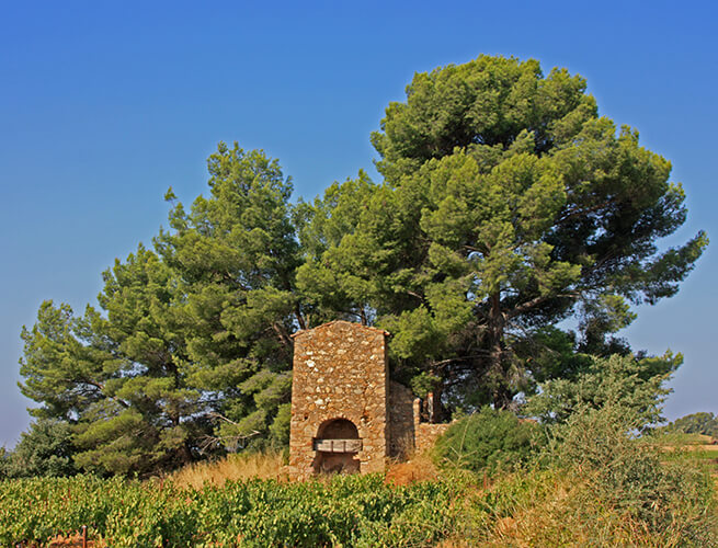 Dunes rouges de Maraval